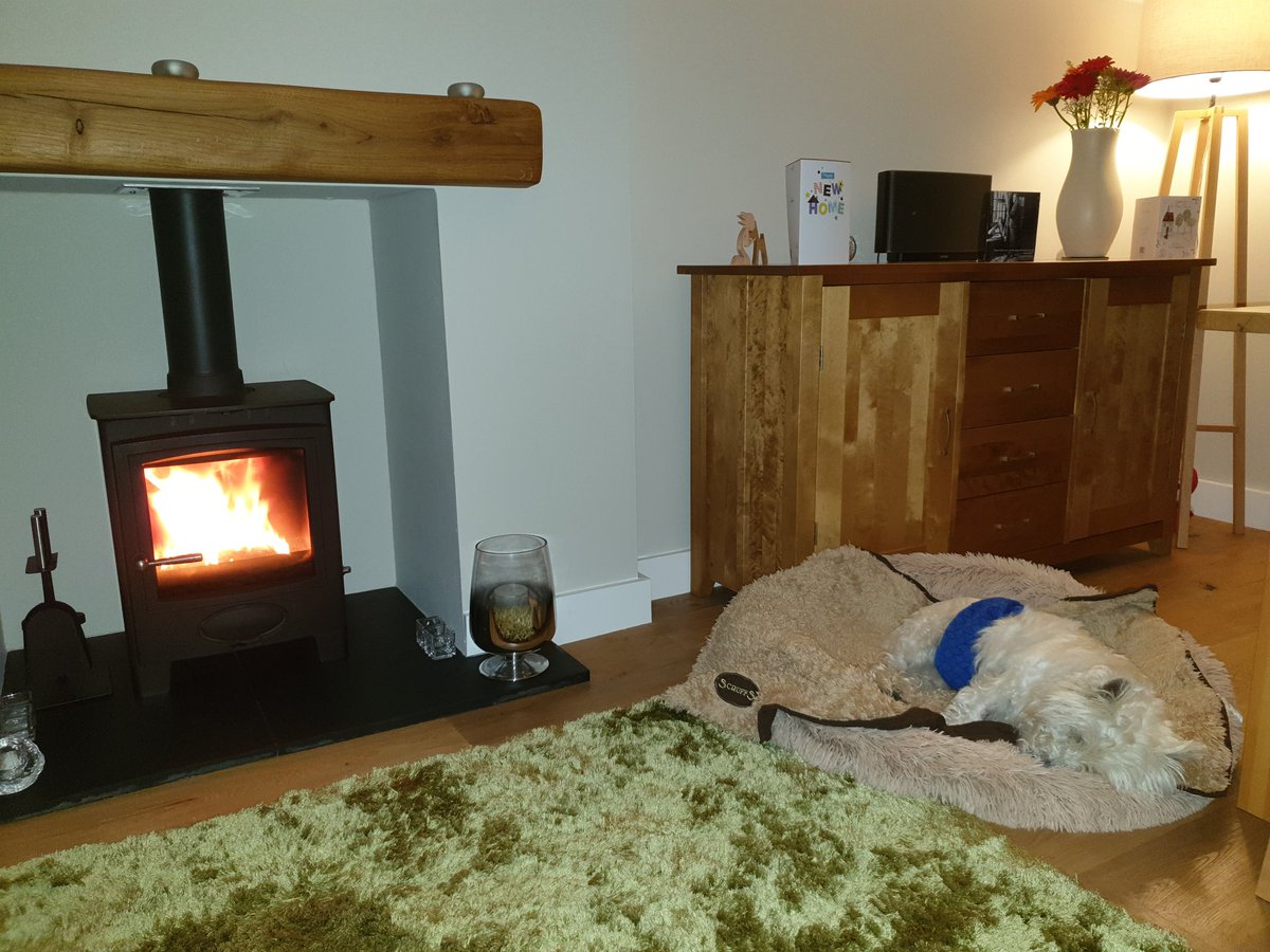 DukieP2012's tweet photo. Loving my new gaff #newhome #westiesofinstagram #westie #westhighlandwhiteterrier https://t.co/RAHTwCV6Kk