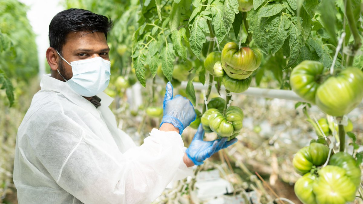 Thank you to all of the amazing farmworkers! Happy #FarmworkerAppreciationDay. Let’s show some gratitude for our  hardworking farmers who bring nutritious food to everyone's tables! 🍅🥒🌱