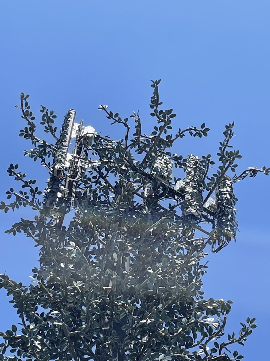 RealCandaceO's tweet photo. A friend of mine sent me these photos of a fake tree planted in Arizona that has this wiring around it. 

Anybody on the internet know what this set up is about? 

Says a bunch of them are being planted around where she lives. I’m not a tech person so can’t be helpful. https://t.co/Q4WdNjRBhX