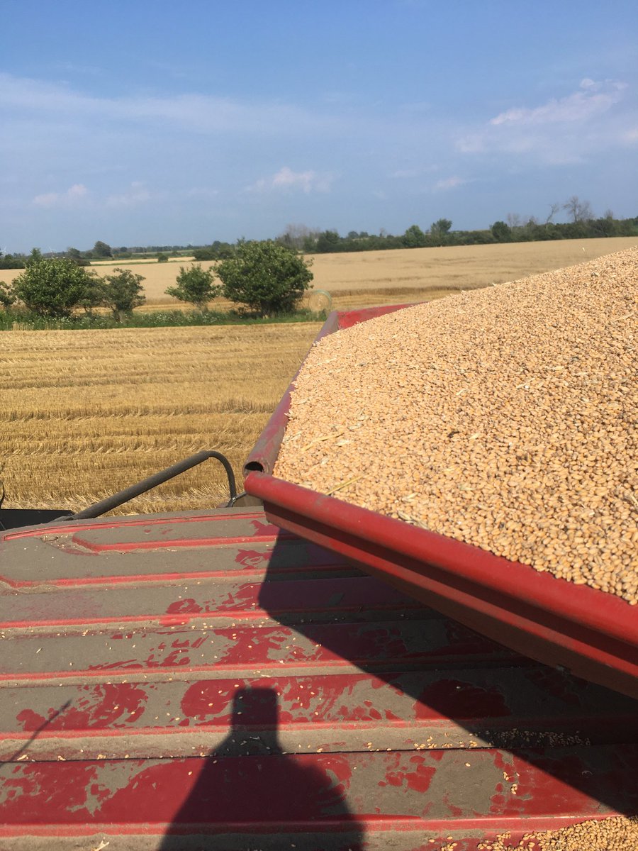 Bin is full R61 for the win