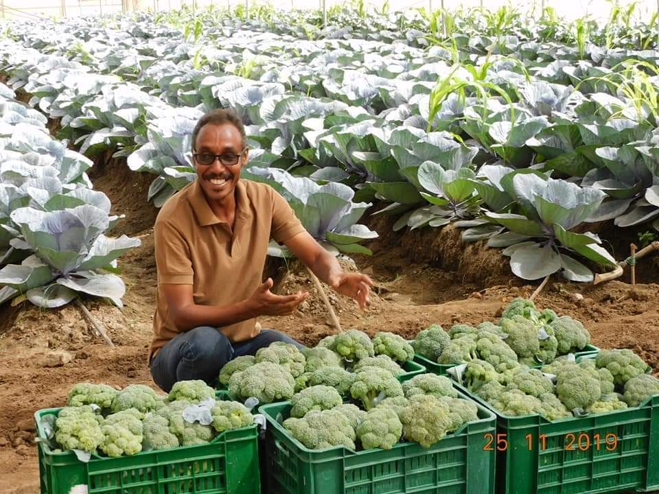 نموذج لمشروع سوداني 100% بأيادي #سودانية خالصة (إدارة ، عمالة، تمويل) إسم المشروع:
*زهرة*
 مدير المشروع: *معاذ الأمين شاب سوداني في مقتبل العمر خريج كلية الزراعة* #جامعة_الخرطوم/ قسم البساتين منتجاتهم حاليا" في الاسواق
يلا ونحن نزرع نعمر نصدر. 
Muaz Alshreef
#السودان
#جمال_الطاهر