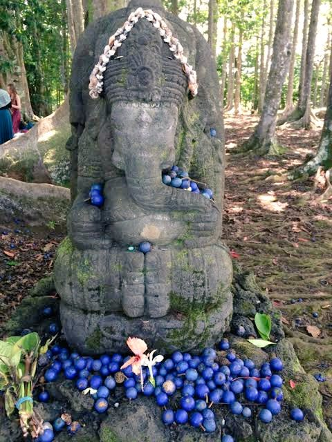 VertigoWarrior's tweet photo. At the Kauai Hindu Monastery in Hawaii, Bhagwan Ganesh is worshipped with the extremely rare cobalt blue Rudraksha https://t.co/q8yzXtTezz