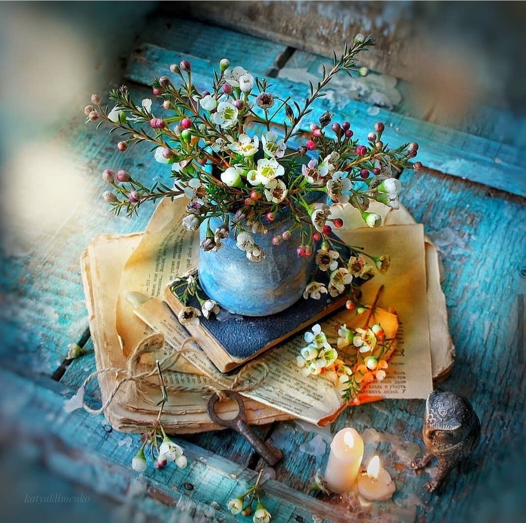dai70d's tweet photo. Hello. 🎶🍵💝🎹
(*˘︶˘*).｡.:*🌼♡🌸🌼@anzu1187
@Yony54967643*॰¨̮🌸🌼
 🌸∴｡　*
　･ﾟ*｡🌸･
　　･ *ﾟ｡　　 *
　 ･ ﾟ*｡･ﾟ🌸｡
　　　🌸ﾟ･｡°*. ﾟ
*　　ﾟ｡·*･｡ ﾟ*
　　　ﾟ *.｡🌸🍒☀🌈
🌸Thank you RT🌸💐 https://t.co/THEG6yCoem