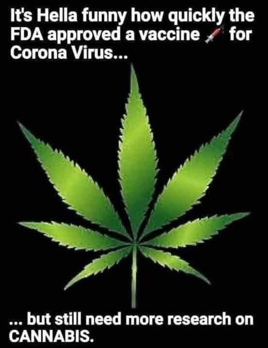 The Cannabis Patriot 🌱 🇺🇸 (@plegalization) on Twitter photo 