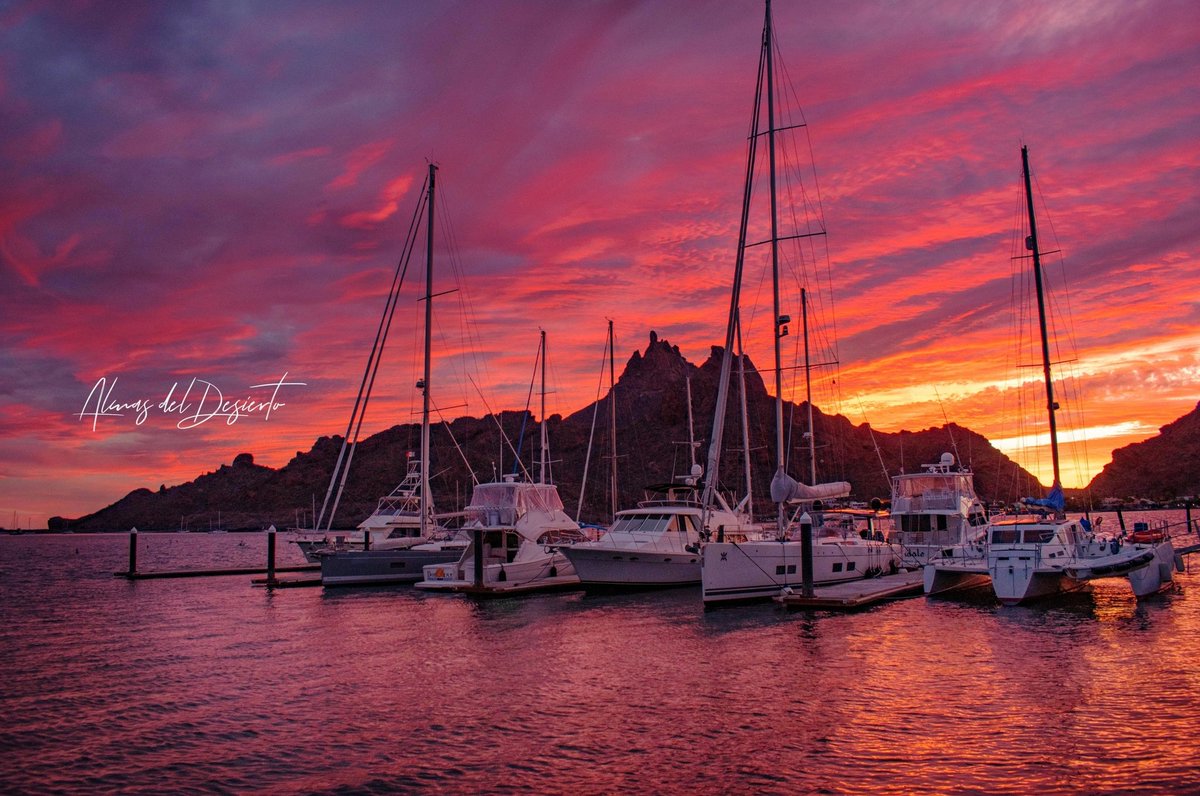 Almasdeldesier1's tweet photo. Si quieres un momento de felicidad detente a contemplar un atardecer ✨
📍San Carlos Sonora México
@ocvguaymas @VisitSonora @webcamsdemexico @VisitMex https://t.co/mTOWp7YWrR