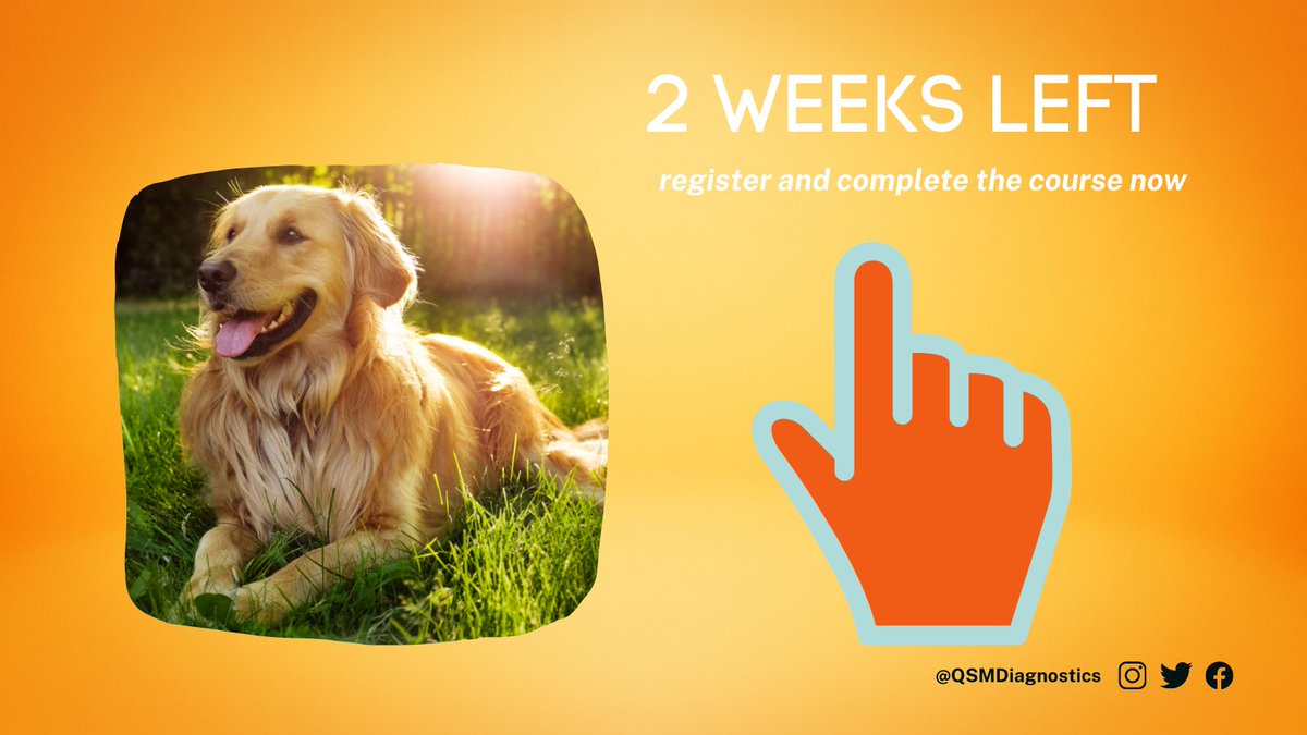 QSMDiagnostics's tweet photo. FREE CE course available through August 21st! Register NOW and complete the course for free. 

Follow this link to register now:
https://t.co/lLGVNoRDau
#veterinarymedicine #veterinarian #vettech #veterinary #vetmed #vetlife #antimicrobialstewardship #antimicrobialresistance https://t.co/y8gin52gpP