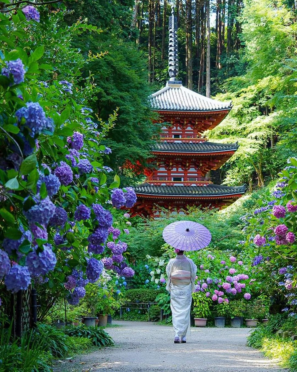 ☯️ Atilla Csertán🕉️ tweet media