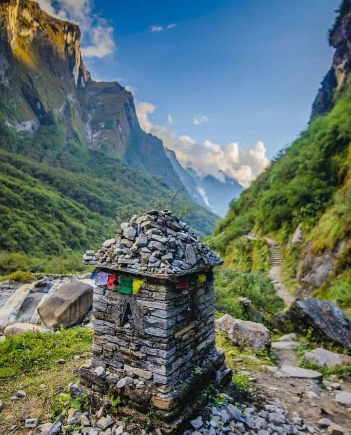 ☯️ Atilla Csertán🕉️ tweet media