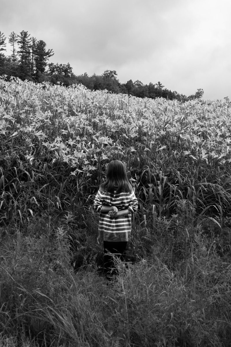 Girl in Field F8. 1/100. ISO 100