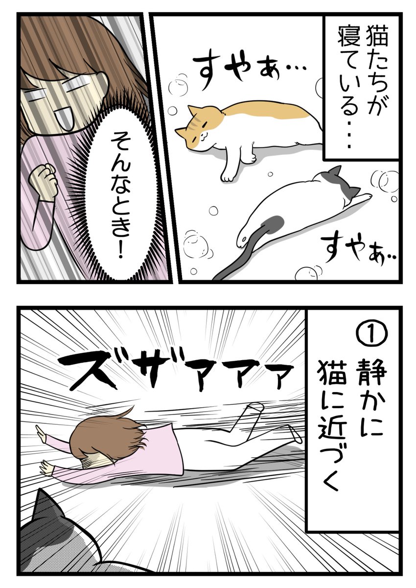 最近のマイブームで癒された反面の悲しみ 

アンダーザ肉球

#コミックエッセイ #猫のいる生活 #絵日記 