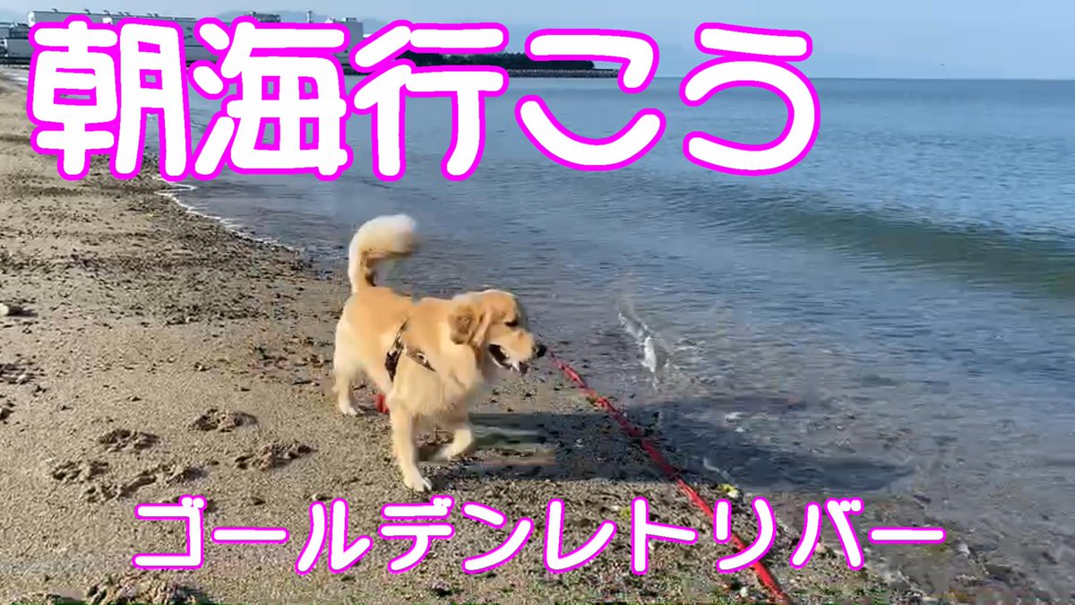 はるママ Harukoyomi3pou Twitter はるママ Harukoyomi3pou Twitter