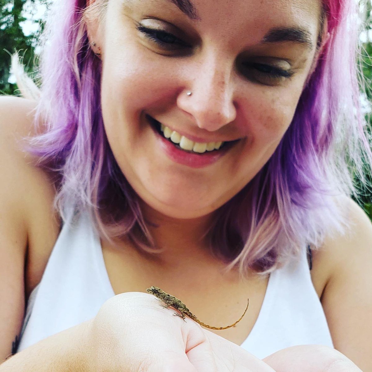 anxioustoebeans's tweet photo. LOOK AT THIS TEENY LEEZARD! 😍🦎 https://t.co/f0fAvMUSRC