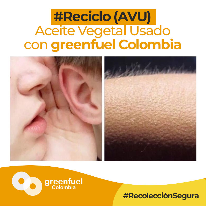 Greenfuel_Col's tweet photo. Ayudas a borrar la huella de carbono, contribuyes a conservar el agua, generas un combustible no contaminante, apoyas a la industria y todo esto gracias a #ReciclarAVU♻️
Solicita tu recolección segura de #AVU aquí: https://t.co/pIN9frbmf6 ✨
#biodiesel #Agosto #BogotáDC #colombia https://t.co/ysZaFlh6s0
