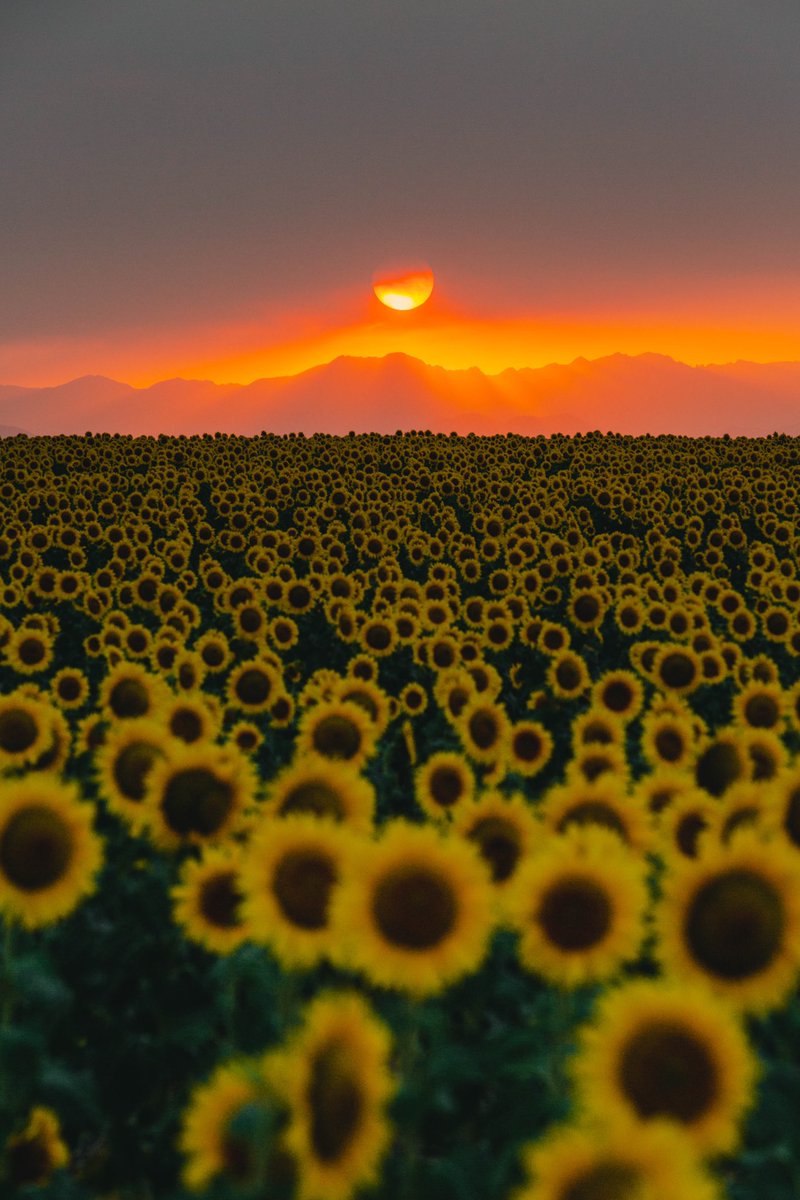 Retweet to help get me on the news! <a href="/9NEWS/">9NEWS Denver</a> <a href="/denverpost/">The Denver Post</a> @CBSDenver <a href="/DenverChannel/">Denver7 News</a> <a href="/KDVR/">FOX31 Denver KDVR</a>