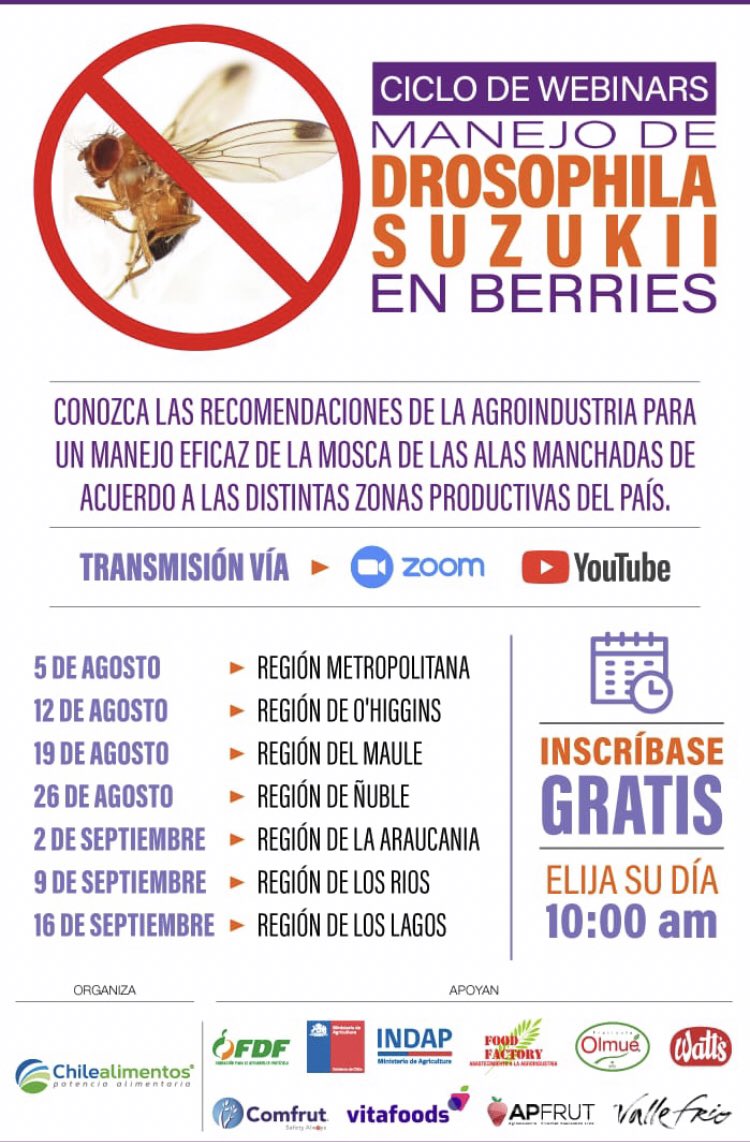 Drosu_Chile's tweet image. Cada jueves de agosto y septiembre se realizará un webinar gratuito y abierto a todo público sobre el manejo de #Drosophilasuzukii en berries. Transmisiones vía Zoom y Youtube a las 10:00 horas. 
No se lo pierda! #mosca #insects #plaga #controldeplagas