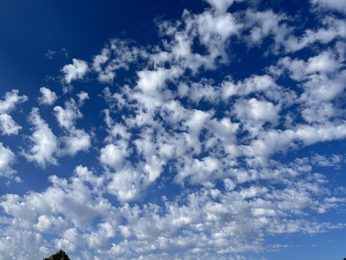 Өглөөний мэнд