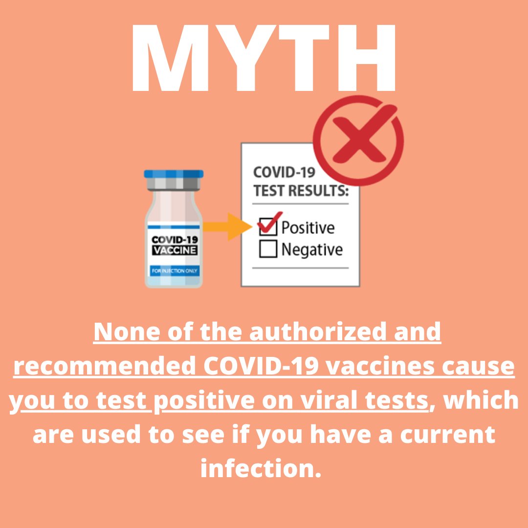 PublicHealthSBC's tweet image. Fact or Myth? 🤔💭Will I test positive for COVID-19 if I get the #COVID19 vaccine ? Find out below:
#COVID19 #GetVaxx #VaccineFacts #MondayMotivation