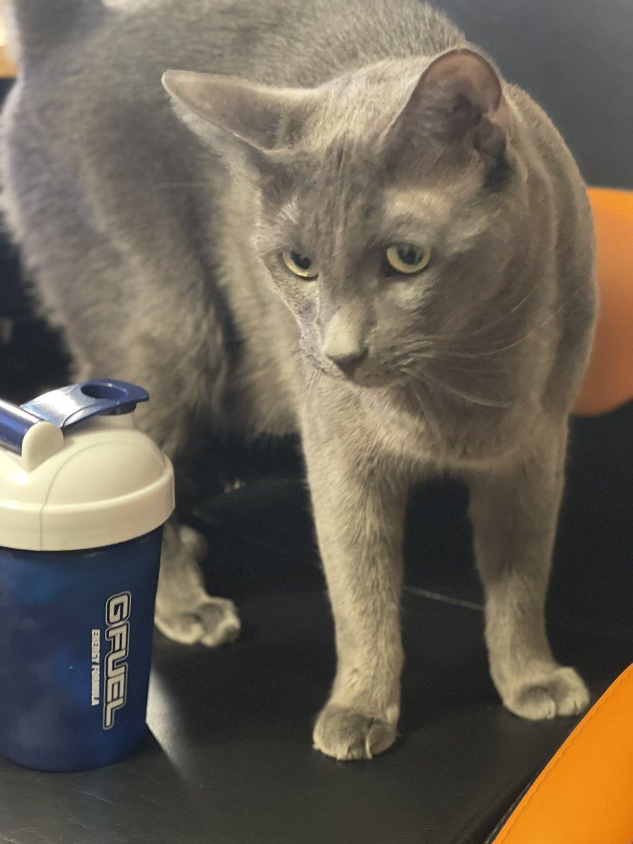 CptPuffy's tweet photo. Be like Blue and use code “Puffy” for 10% off your #Gfuel order! 😸

Also we are LIVE! https://t.co/ArYD972npq https://t.co/vRV4IYC5vM