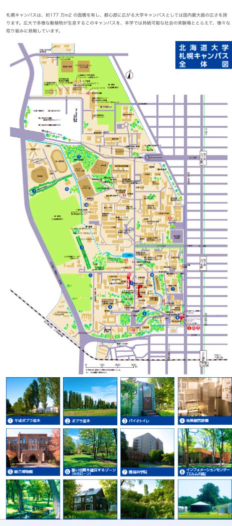 تويتر さと على تويتر マラソンのコースにもなった北海道大学 日本の大学の総敷地面積の4割以上を占めるそうな 札幌駅のすぐ近くから広がる広大な敷地 一般の人も利用できるいちばん大きな学食は札幌駅から地下鉄で二駅離れてます T Co Tfdrjyvn