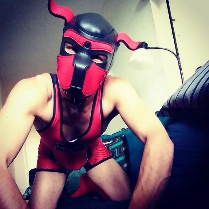 3 pic. I absolutely LOVE my new Kennel Club scout singlet by @cellblock13 from @MrSLeather ! Thank you