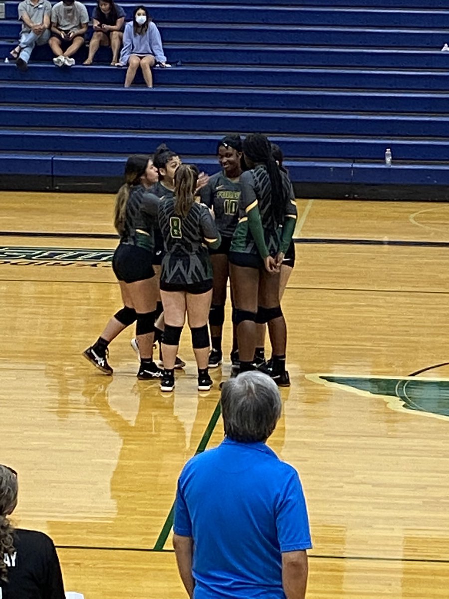 Klein Forest STUCO tweet media