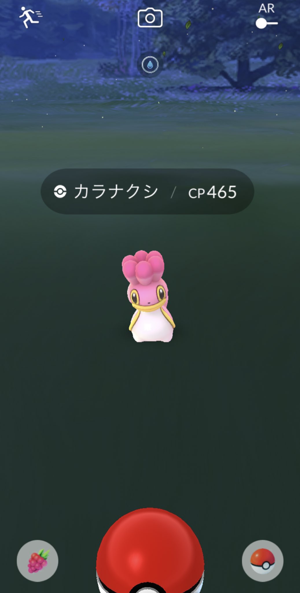 京どすえ シン 誤字ラー ピンクのも捕まえた カラナクシにしのうみ ポケモンgo T Co Xjhogwsldt Twitter