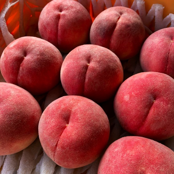 川中島白桃のtwitterイラスト検索結果