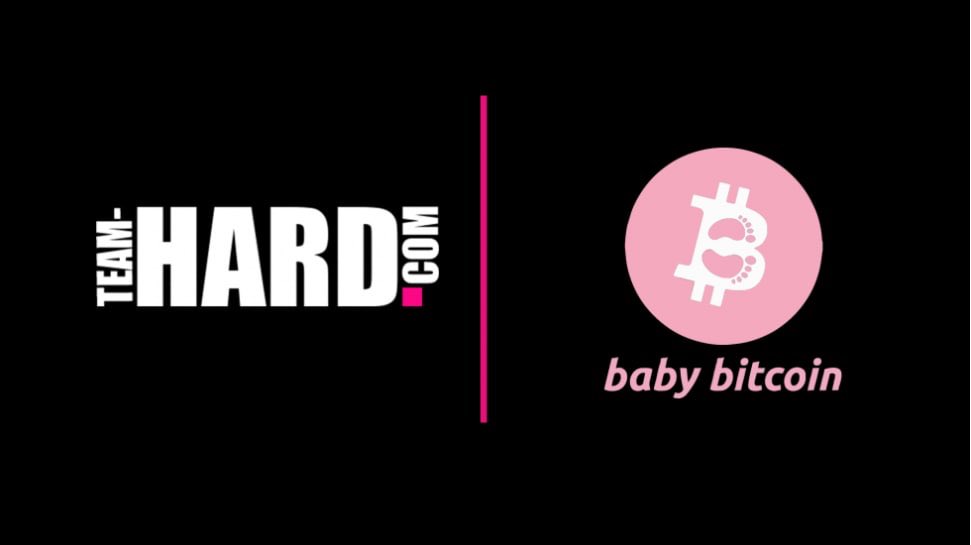 BabyBITC_bsc's tweet photo. #BabyBITC

Official sponsor of @TeamHardRacing at the @BTCC

Contract: 0xdeb9e5d630cea02cf83258aaf5bad933f7a43ae7

Tg: https://t.co/f2HUFVotls
Website: https://t.co/TTe197xbKh
Twitter: https://t.co/VEeCbWgw2O

🚀LETS🤜🤛GO🚀

BabyBITC ONLINE SHOP is OPENING SOON!

🚀LETS🤜🤛GO🚀 https://t.co/SeQQvyq3of