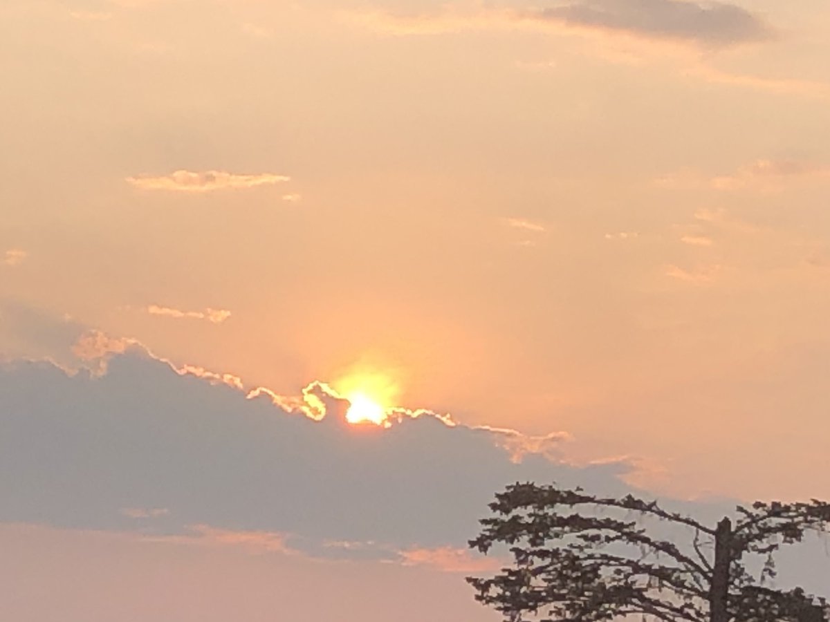 Sunset with derecho tree https://t.co/iJZEcZIjYz