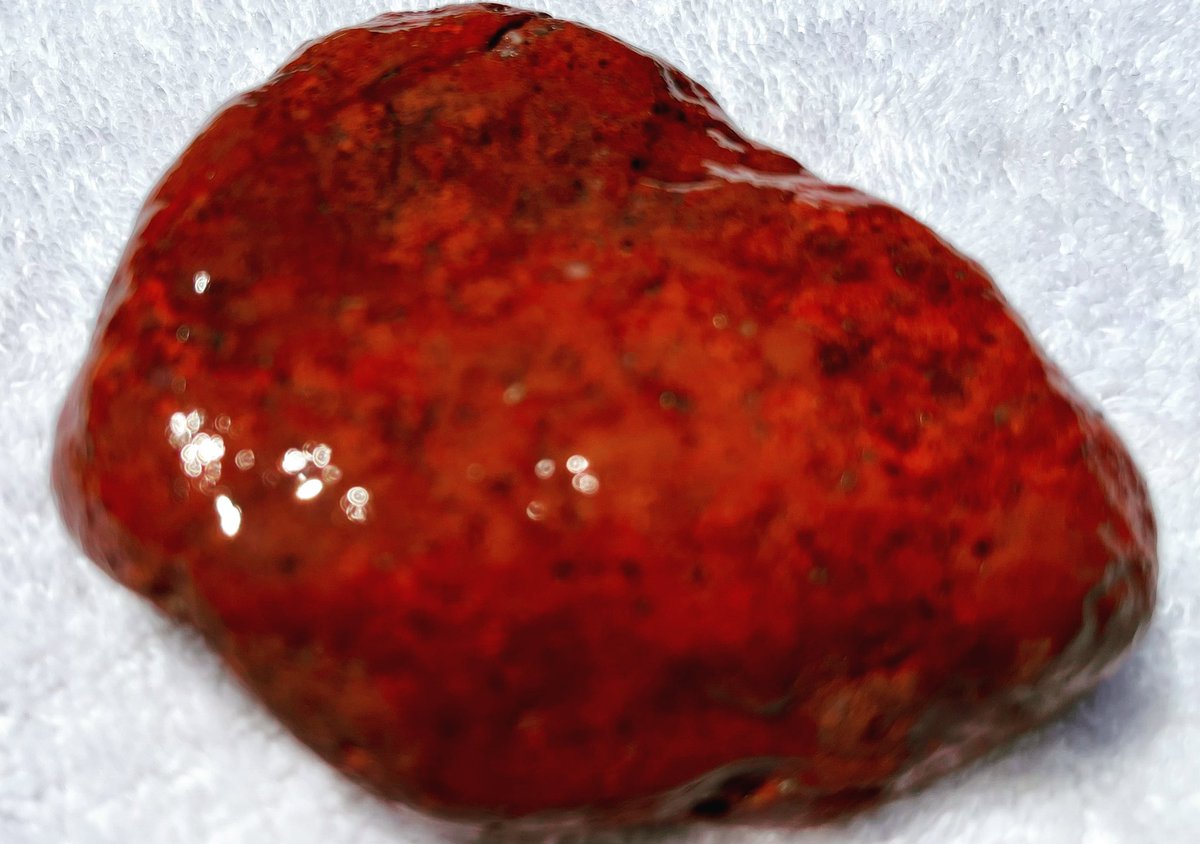 I found this rich red and orange jasper on the Eel River in #Norcal. #jasper #californiagleanin’