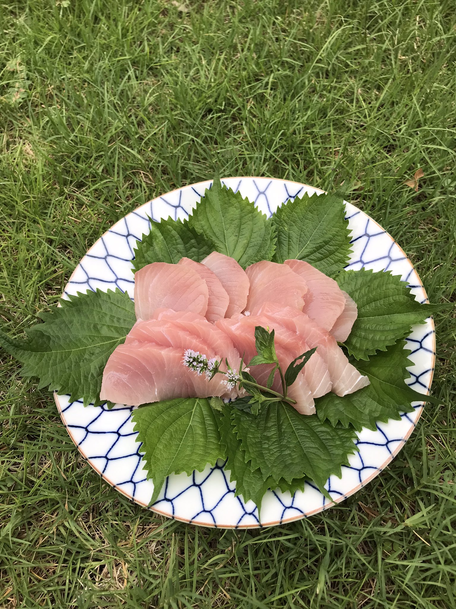 熟成魚 Twitter Search Twitter