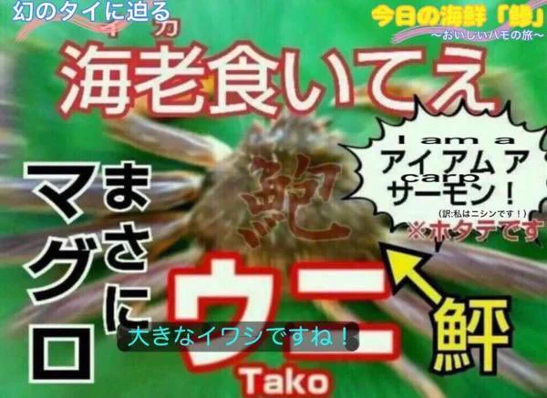 @s_no05 @hajimeindo これですねわかります 