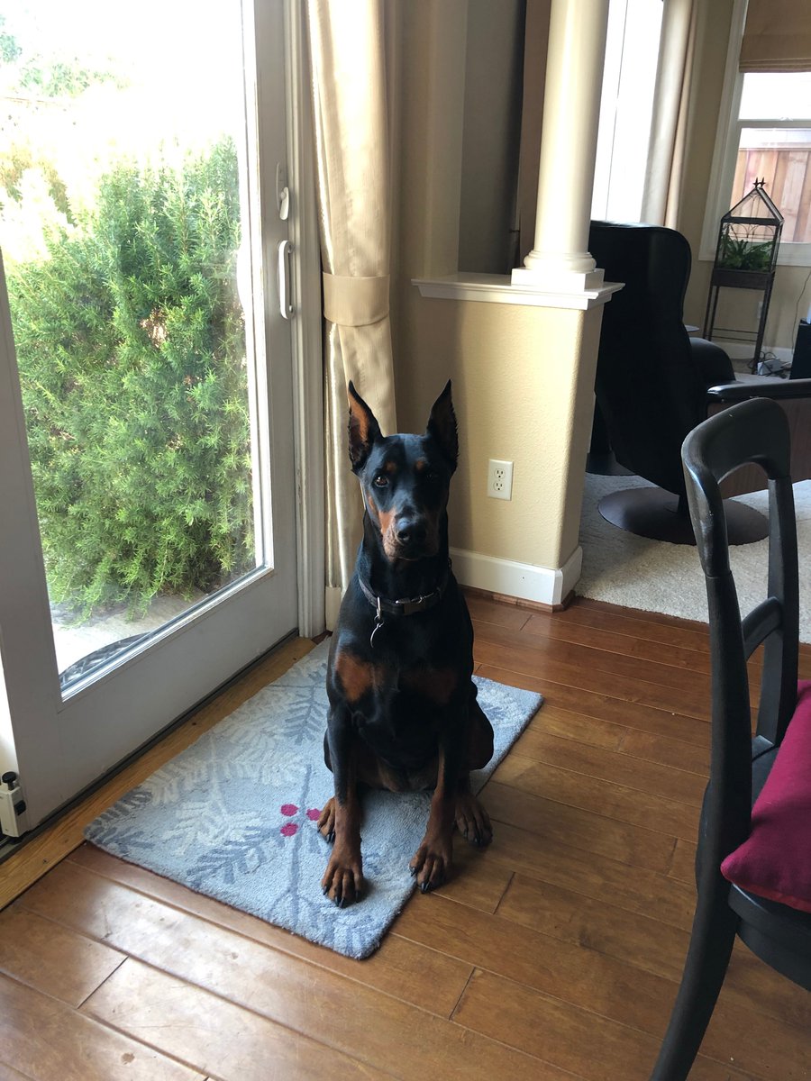 R. David Britt tweet media