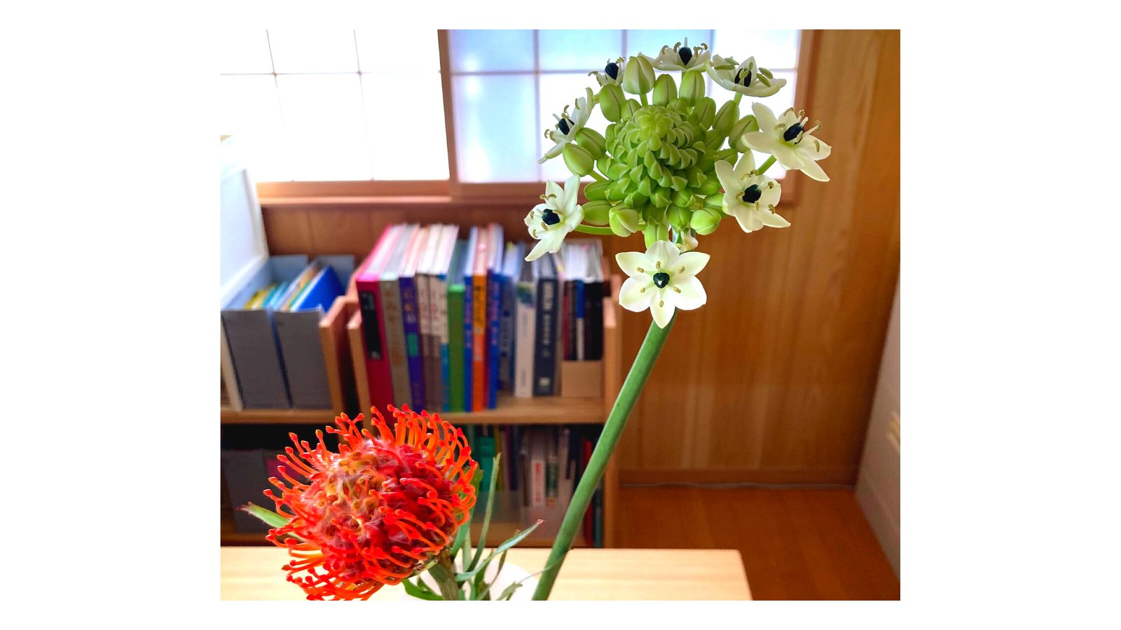 花屋カフェ Twitter Search Twitter