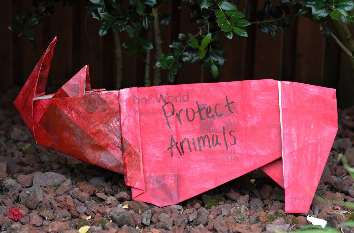 We don't want to live in a world without them! Conservation is key. 🦏 #SaveTheRhino #GISH