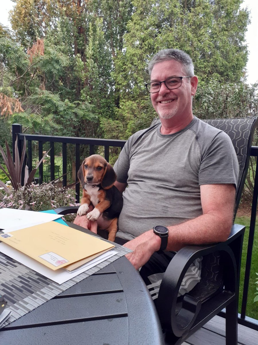 PatRicky62's tweet photo. No grandkids yet, but let me introduce you to my first grand dog.  Her name is Maddie and she is a Pocket Beagle.  Say hi to Maddie! https://t.co/jORp8qZT2g