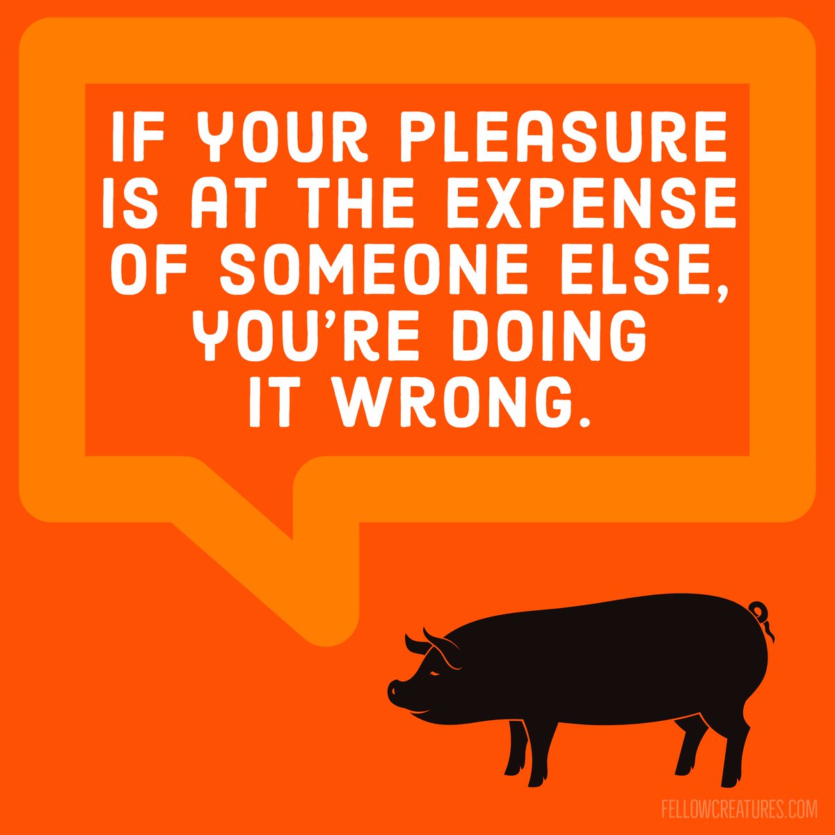 fellowcreature's tweet photo. If your pleasure is at the expense of someone else, you're doing it wrong. Go vegan.
#bevegan #veganaf #veganactivism #activism #animalrights #wisdom #pig #bacon #ham #animal #quitcruelty #veganartist #vegandesigner #vegandesign #veganmeme #pigwisdom https://t.co/6ywt66vrbl