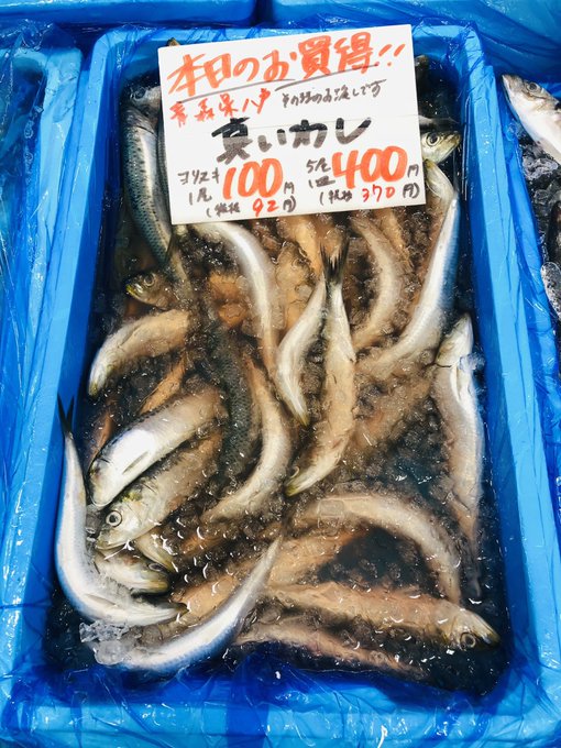 青魚のtwitterイラスト検索結果 青魚のtwitterイラスト検索結果