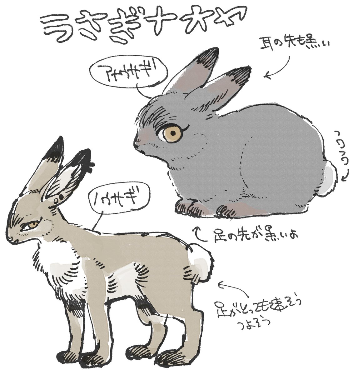 (獣化)アナウサギとノウサギで描いてみました かわいい 