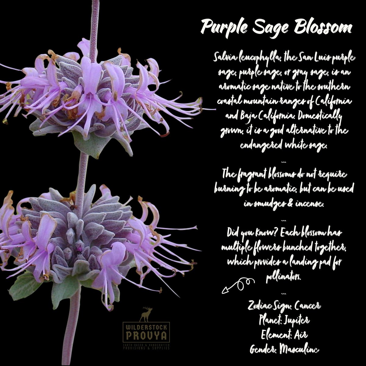 Used our sage blossoms in a bath satchel for soothing &amp; inflamation and it was heaven.

etsy.com/listing/105177…