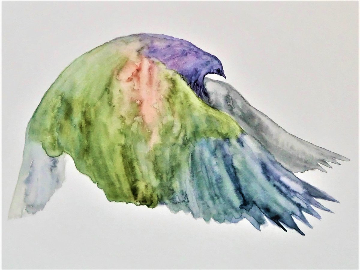 動物絵描きの 髙橋英雄 ミノバト 水彩 Animalart どうぶつ四コマ絵本 ミノバトは なにしている つばさをひろげる とんでみる つばさをひろげる とんでいる T Co Vxqhywudhj Twitter