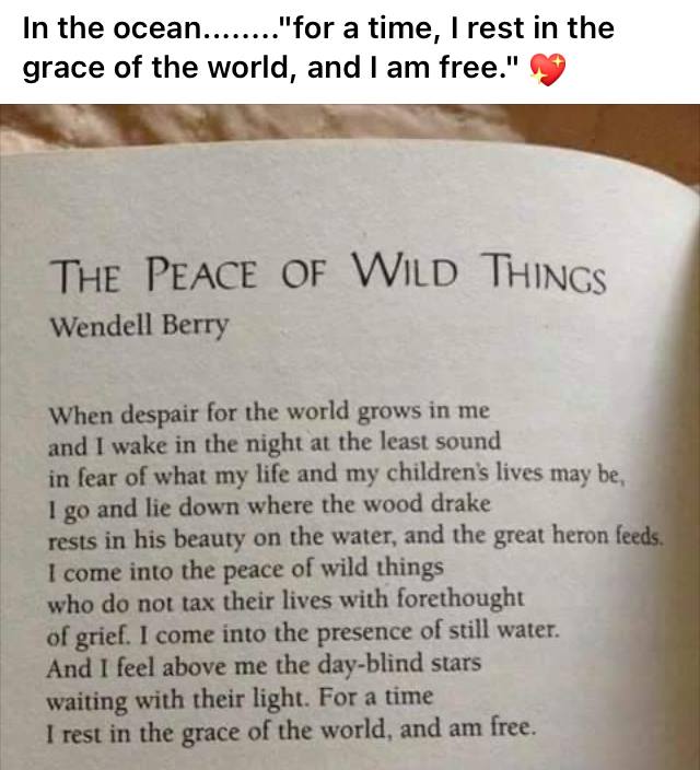 💥Dr💥 Julia Baird tweet media