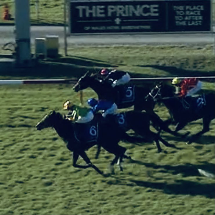 BWiddupRacing's tweet photo. Flirty flirt you clever girl! #AusbredFlirt wins on debut with plenty of upside for this #Maurice filly. Congratulations to her connections we are thrilled for you! Cheers @AlyshaCollett #TeamWiddup https://t.co/rAwwG2TSEs