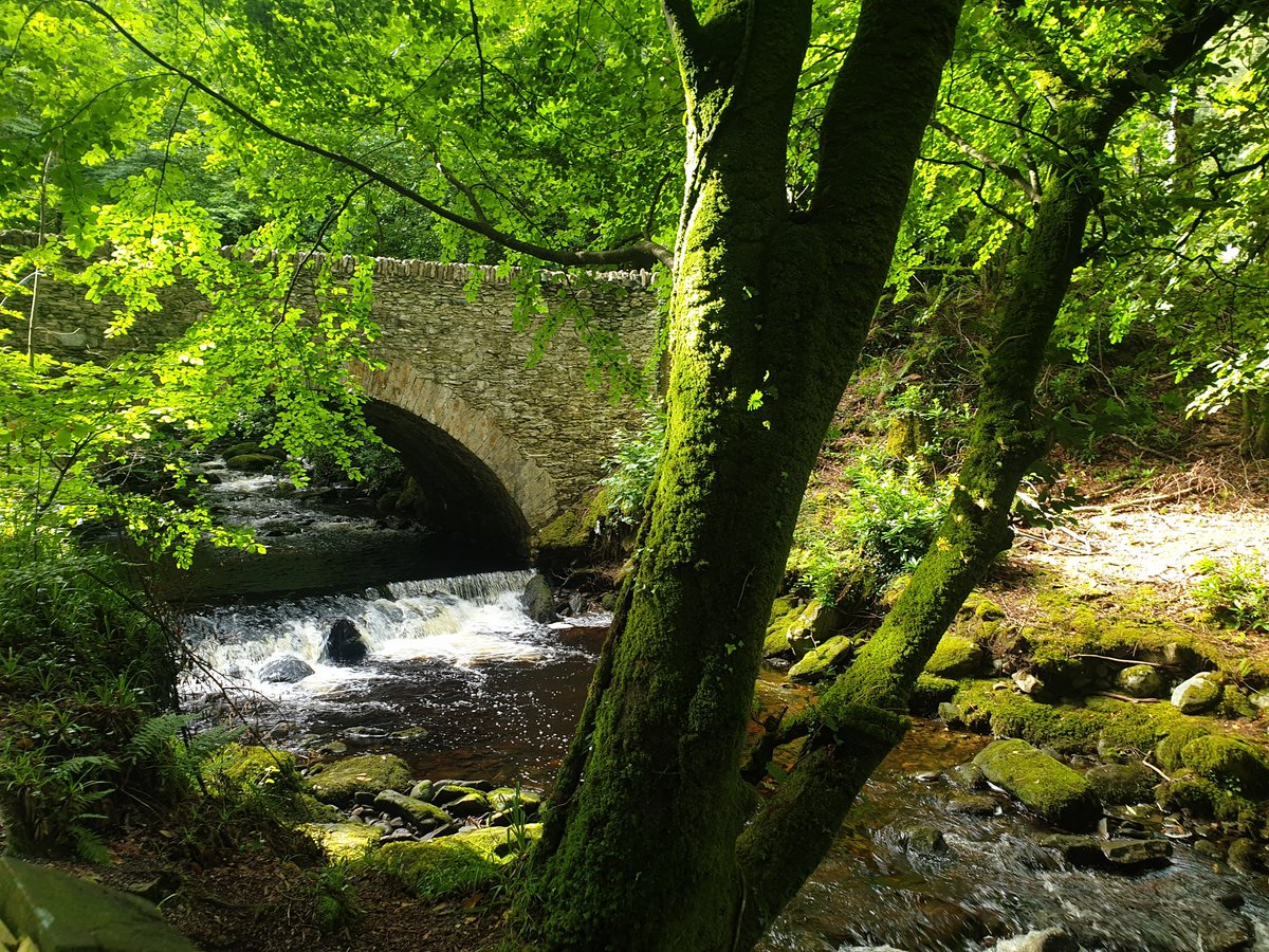 WriterBredaJoy's tweet photo. A Kerry selection of river at Torc Waterfall scenes from Cahersiveen and a voyage to the Bull Rock. https://t.co/67lzX3Ziqm
