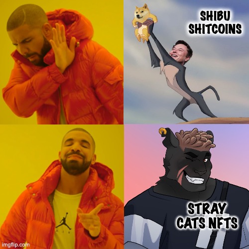 Immxvc's tweet photo. Sorry @elonmusk, @Drake knows best! @StrayCatsNFT  #StrayIsTheWay #NFTCommunity #NFTCollectors https://t.co/eMptAHJ8XO