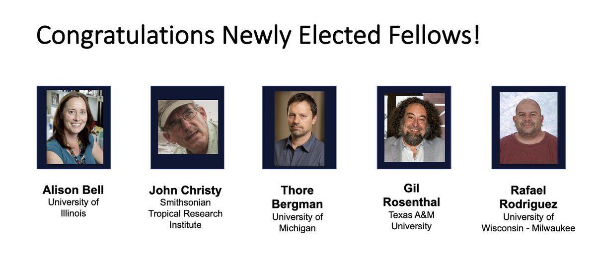 Animal Behavior Society (@animbehsociety) on Twitter photo 🥳Congrats to our newly elected #AnimalBehavior Fellows #ABS2021:
Alison Bell <a href="/AlisonB99479824/">Alison Bell</a> @iBioIllinois
John Christy <a href="/smithsonian/">Smithsonian</a>
Thore Bergman @VocalMonkey <a href="/UMich/">University of Michigan</a>
Gil Rosenthal @GilRosenthal <a href="/TAMU/">Texas A&M University</a>
Rafael Rodriguez <a href="/UWM/">UW-Milwaukee</a> 🥳Congrats to our newly elected #AnimalBehavior Fellows #ABS2021:
Alison Bell <a href="/AlisonB99479824/">Alison Bell</a> @iBioIllinois
John Christy <a href="/smithsonian/">Smithsonian</a>
Thore Bergman @VocalMonkey <a href="/UMich/">University of Michigan</a>
Gil Rosenthal @GilRosenthal <a href="/TAMU/">Texas A&M University</a>
Rafael Rodriguez <a href="/UWM/">UW-Milwaukee</a>