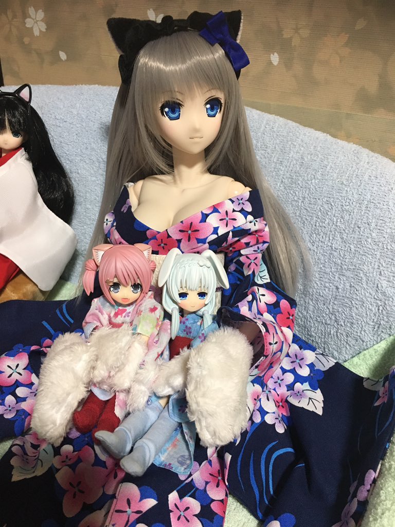 猫夜空 on Twitter: