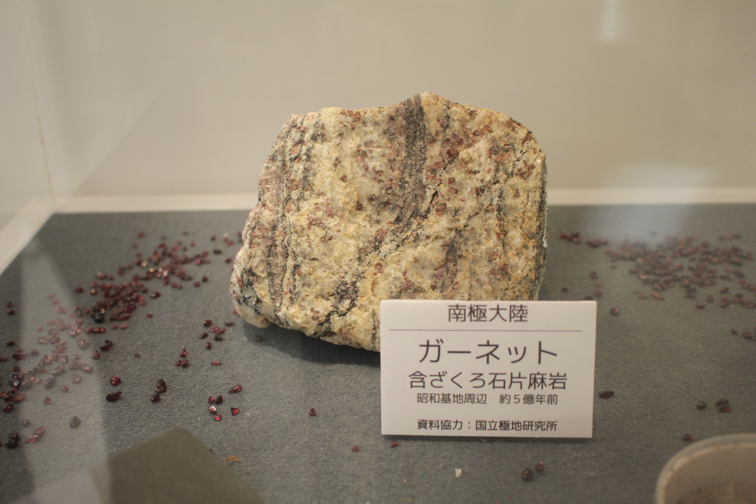 南極の石 （岩）ガーネット入り 稀少