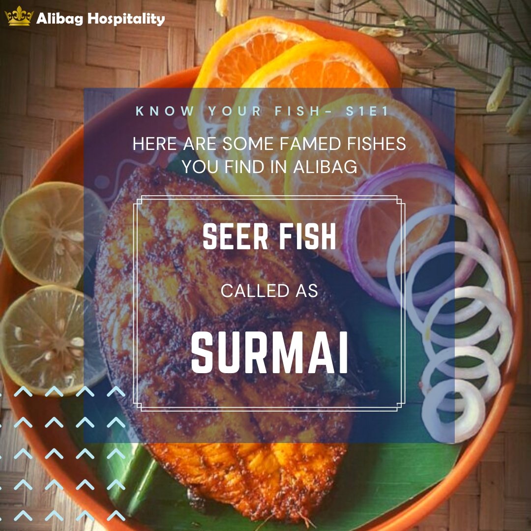 AlibaugOfficial's tweet photo. Gatari Amavasya celebrates the new moon day before the beginning of the auspicious month of Shravan
2 days to go !! (9th Aug 2021)
Do you know what this Fishes are called?
#Surmai, #Paplet, #Kolambi, #Bangda & #Bombil
#AlibagHospitality #Seafood #Seafish #Fish #Farmhouse https://t.co/UBUXdAiYgA