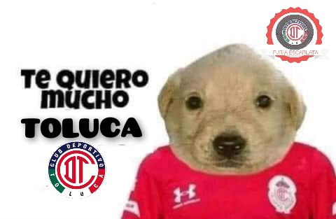 EscarlataFuria's tweet photo. Ahora si a descansar a gusto con la victoria de mi @tolucafc
#FuriaEscarlata 😈 🇦🇹 🔥
#AmorInfernal 👹
#GritaMéxicoA21 🇲🇽
#SomosDiablos 😈
#SomosRojos 🇦🇹
#DiablosTwitteros✌🏽 https://t.co/SzunDTSVrF